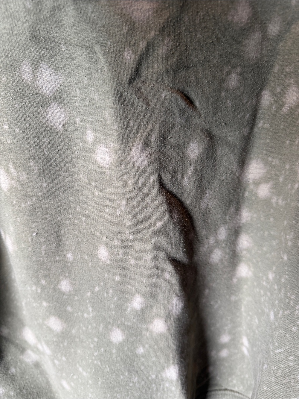 wild fable Olive Crewneck Sweatshirt - Picture 3 of 4